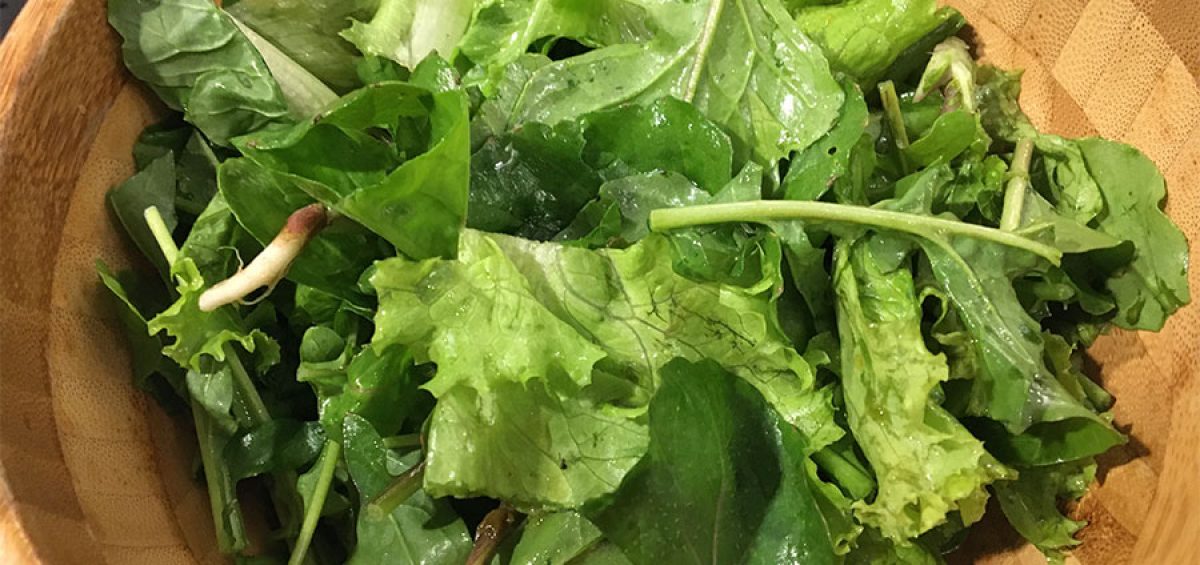 ルッコラとグリーンリーフのサラダ 翔栄ファームの野菜を使ったレシピ ビセットプラザ 東中野